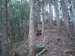 コシキ岩