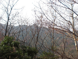 小松尾山